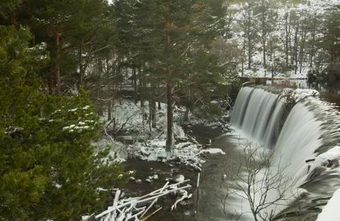 Winter cascade on forest Stock Photos