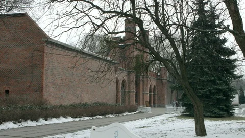 Winter castle with trees 스톡 동영상 94722846