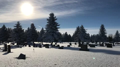 Winter Cemetery Beauty Fixed 動画素材 101201000