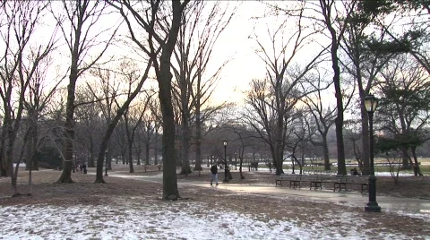 Winter in Central Park 2 스톡 동영상 454261
