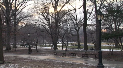 WInter in Central Park 3 Stockbeeldmateriaal 455006