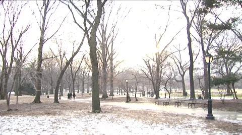 Winter in Central Park (Blownout) 스톡 동영상 454383