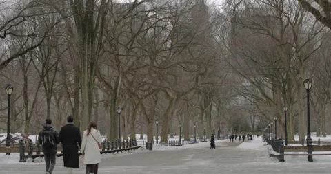 Winter in Central Park Vídeo Stock 330974699