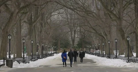 Winter in Central Park Stockbeeldmateriaal 330974980