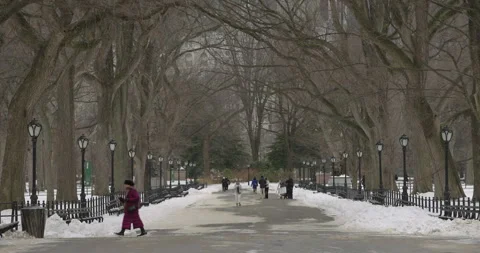 Winter on the Central Park Mall 動画素材 330974142