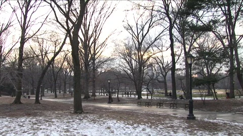 Winter in Central Park slow pan 스톡 동영상 454364