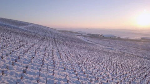 Winter Champagne Vineyard Snow aerial 2 Stock Footage