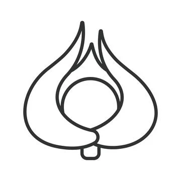 Winter cherry icon in line design. winter cherry physalis fruit food fresh Illustration