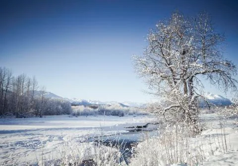 Winter on the Chilkat River Stock Photos