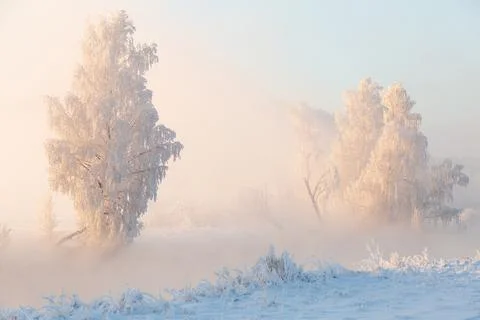 Winter christmas background Stock Photos