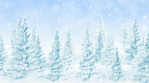 Winter Christmas forest, falling snow Stock Footage 33447173