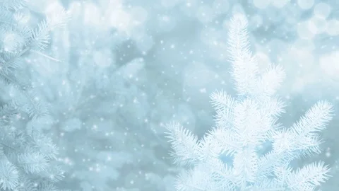 Winter Christmas tree background with falling snow - loop, 4K Video stock 80242467