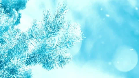 Winter Christmas Tree Background with snow and bokeh. Stock Footage 95150413