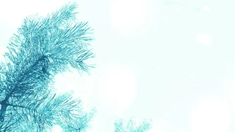 Winter Christmas Tree Background with snow and bokeh. Stock Footage 95150927