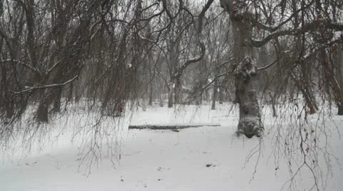 Winter in the City Stock Footage 12750772