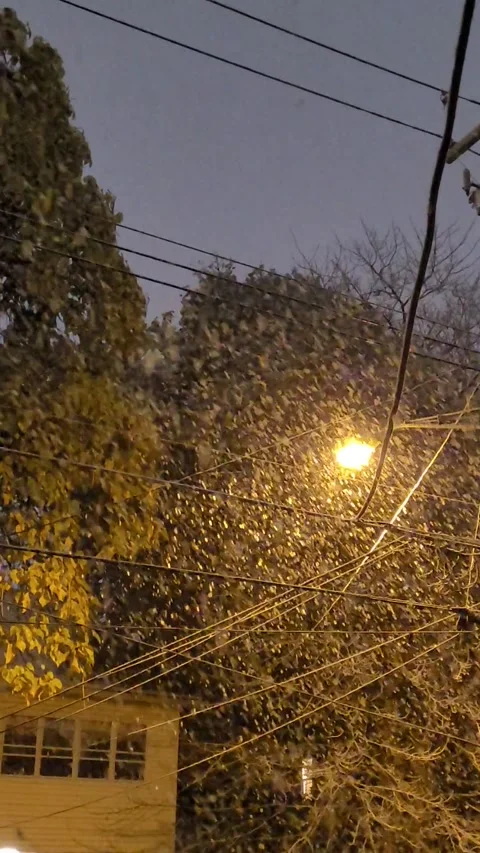 Winter In a City Video stock 261496581