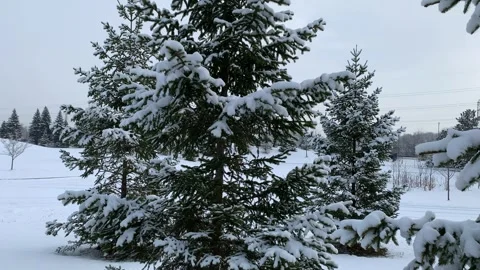 Winter in the city park close to river Stock Footage 297801593