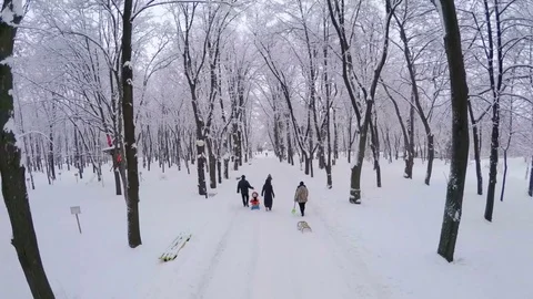 Winter City Park Stock Footage 73933174