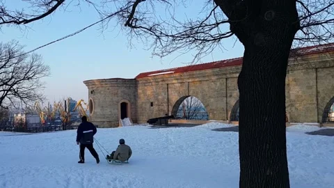 Winter in city park Stock Footage 144118540