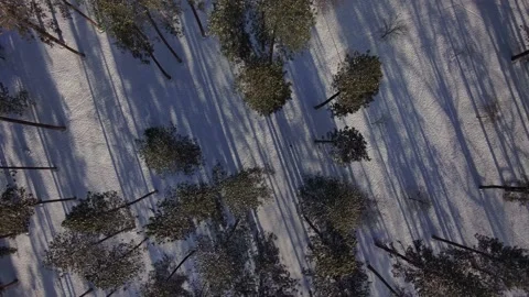 Winter City Park Stock Footage 219237984