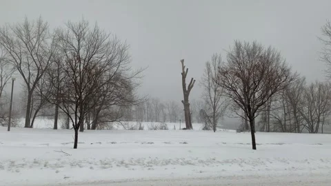 Winter in the city park Stock Footage 297801462