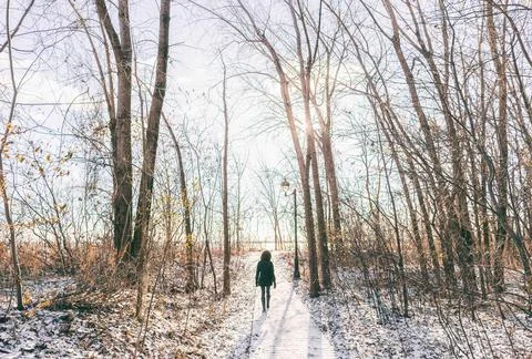 Winter city park outdoor walk woman walking in snow in snowy forest path in Stock Photos