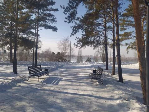 Winter in the city Foto stock