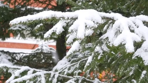 Winter in city. slow motion Vidéo 72340770