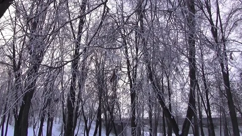 Winter city Vitebsk Stock Footage 106629544