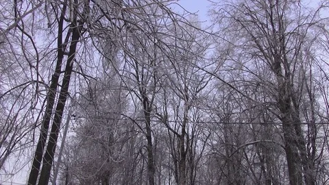Winter city Vitebsk Stock Footage 106629563