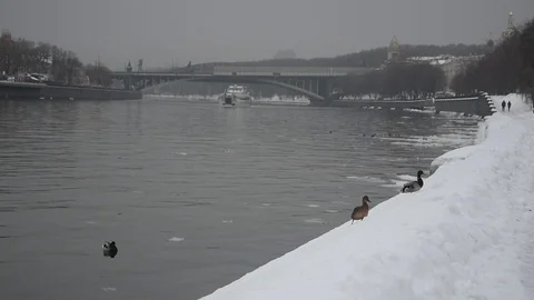 Winter cityscape in Moscow Stock Footage 102779301