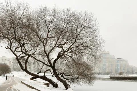 Winter cityscape Stock Photos