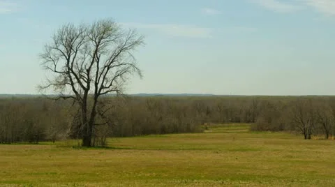 Winter clearing Stock Footage 22346718