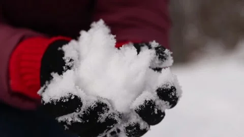 Winter. Close-up of woman's hands holding clean snow Stock Footage 302006225