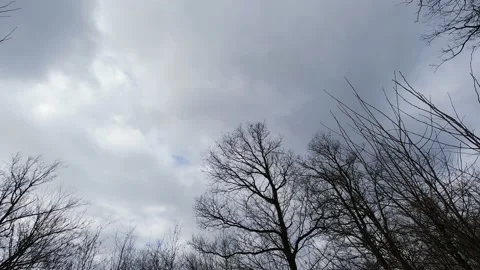 A winter cloud sky with winter vegetation time lapse Stock Footage 150427511