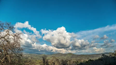 Winter Clouds above a Winter Oak Forest Stock Footage 283784667