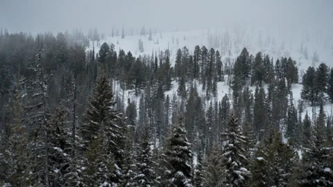 Winter Clouds in Montana Stock Footage 263692339