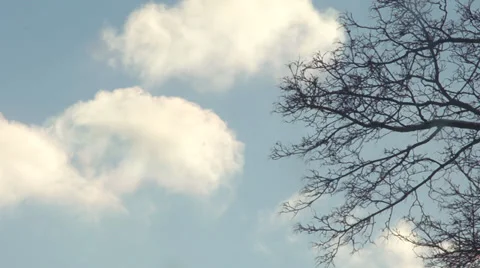 Winter Clouds Moving Across Blue Sky With Tree Stockbeeldmateriaal 35229247