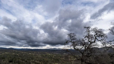 Winter Cloudscape above Barren Forest Time lapse Stock Footage 283261272