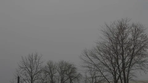 Winter - Cloudy - bare trees Stock Footage 76327031