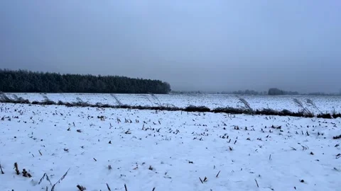 Winter cloudy day on snow covered fields. Winter dull day. Stock Footage 227286999
