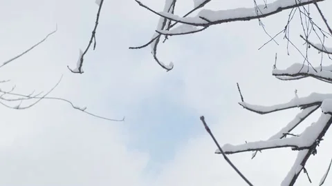 Winter cloudy lanscape Stock Footage 147700383