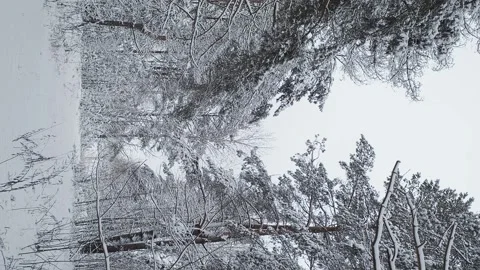 Winter cloudy lanscape Stock Footage 147700421