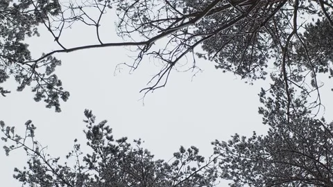 Winter cloudy lanscape Stock Footage 147700647