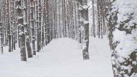 Winter cloudy lanscape Stock Footage 147700830