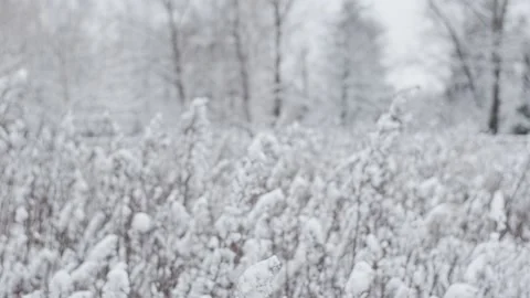 Winter cloudy lanscape Video stock 147701324