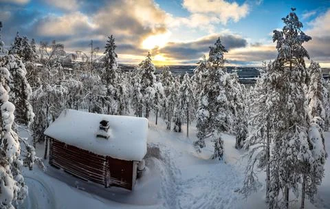 Winter cloudy panoramic landscape with forest, trees covered snow, a lonely c Stock Photos