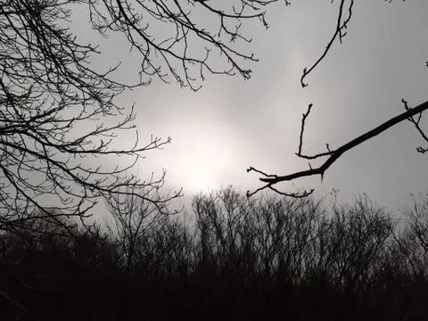 Winter Cloudy Sky Stock Photos