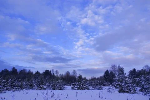 Winter cloudy sunset in a snowy forest in the Urals Stock Photos