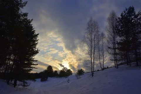 Winter cloudy sunset in a snowy forest in the Urals Stock Photos